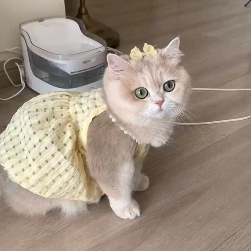 Cat summer clothes small skirt anti-hair loss cute ins golden gradient puppet cat British short summer suspender skirt